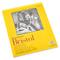 12 Pack: Strathmore® 300 Series Bristol Vellum Pad